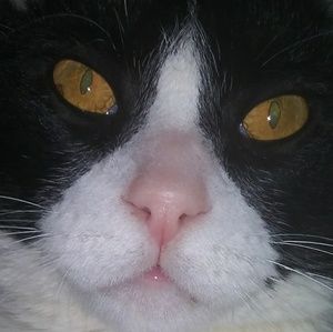 Meet your Posher, Val